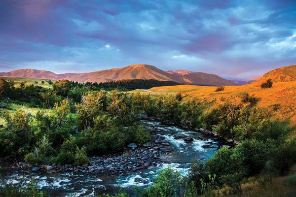 Montana