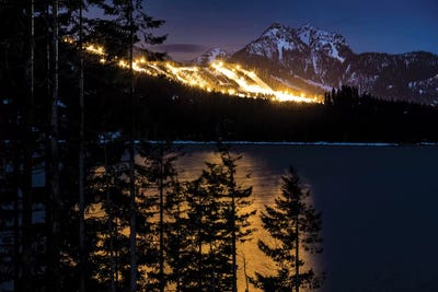 Shot In The Dark by Sarah Kadlecek framed wall art