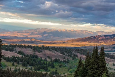 Fairy Dreams by Sarah Kadlecek framed wall art