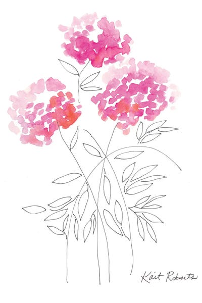 Hydrangeas: Touch of Color by Kait Roberts