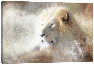 Golden Lion Canvas Art Print - Katrina Jones