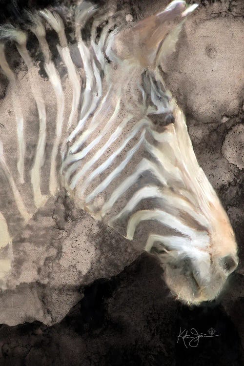 Portrait Of A Zebra