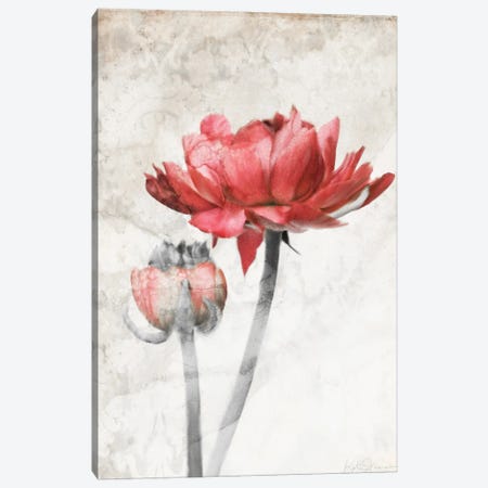 Ravishing Red Bloom Canvas Print #KAJ112} by Katrina Jones Canvas Artwork