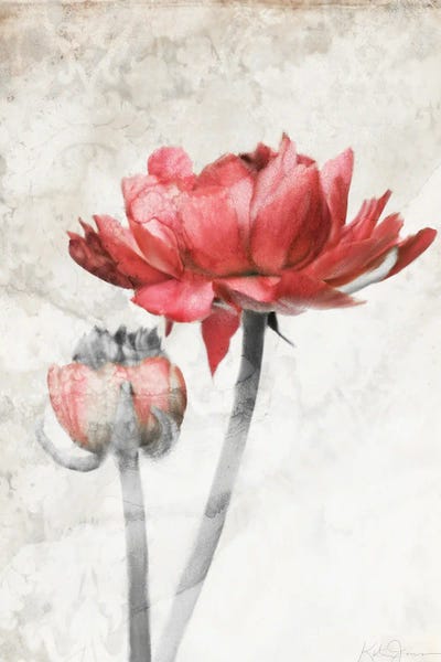 Granny Chic: Ravishing Red Bloom by Katrina Jones