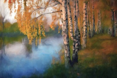 River Birches by Katrina Jones framed canvas print