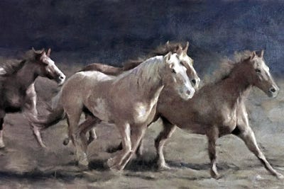 Midnight Run by Katrina Jones framed canvas print