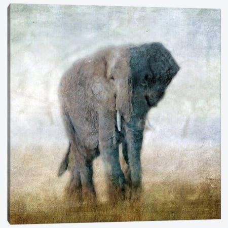 Serengeti Series Elephant Canvas Print #KAJ116} by Katrina Jones Canvas Print