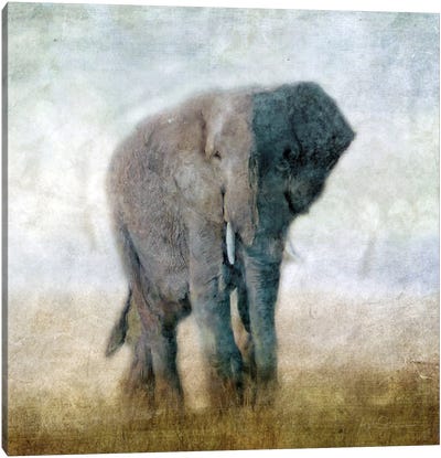Serengeti Series Elephant Canvas Art Print - Tanzania