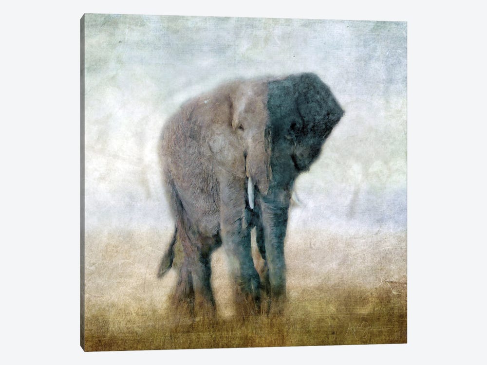 Serengeti Series Elephant by Katrina Jones 1-piece Canvas Print