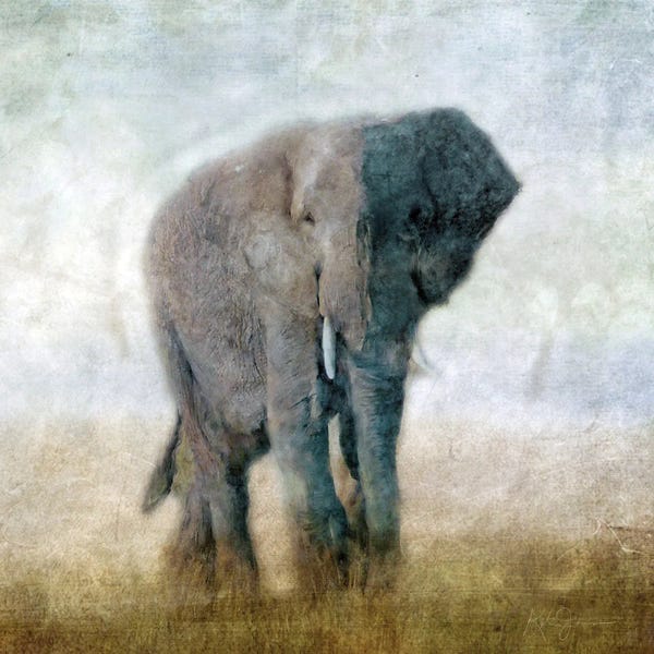 Serengeti: Serengeti Series Elephant by Katrina Jones