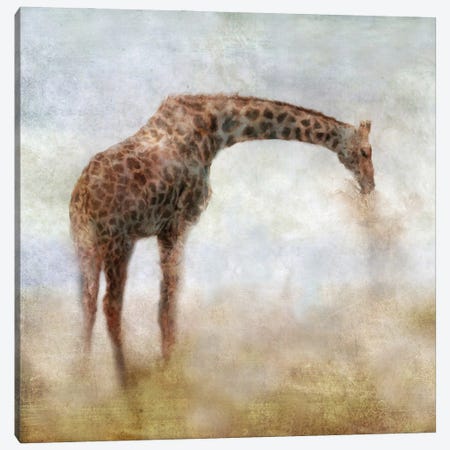 Serengeti Series Giraffe Canvas Print #KAJ117} by Katrina Jones Canvas Art Print