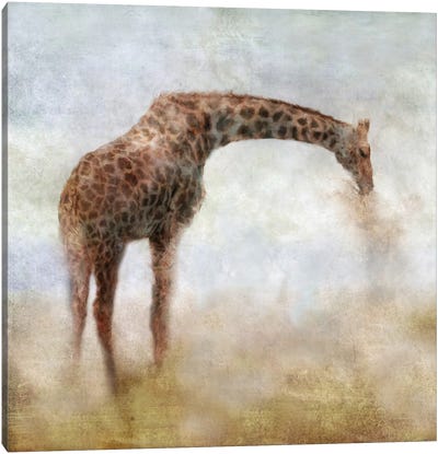 Serengeti Series Giraffe Canvas Art Print - Katrina Jones