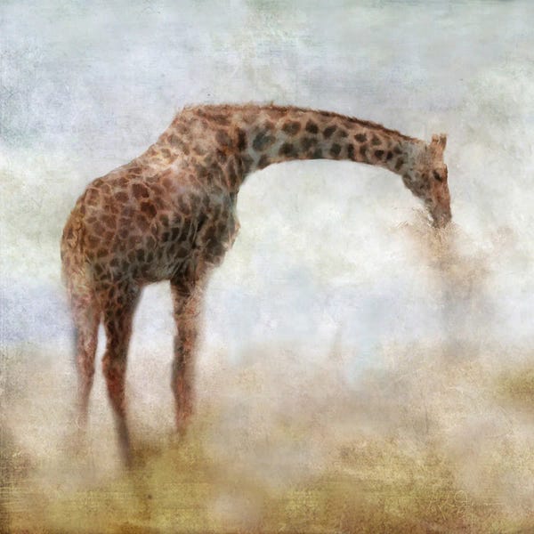 Serengeti: Serengeti Series Giraffe by Katrina Jones