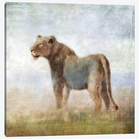 Serengeti Sereies Lioness Canvas Print #KAJ118} by Katrina Jones Canvas Art