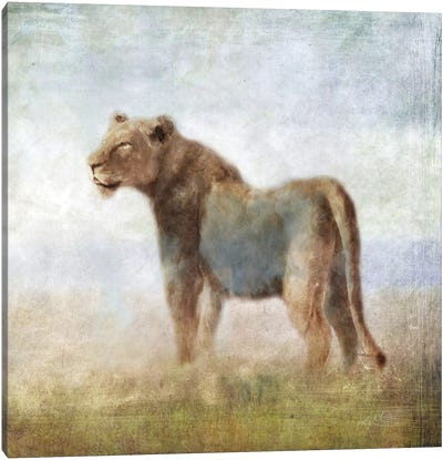 Serengeti Sereies Lioness Canvas Art Print - Katrina Jones