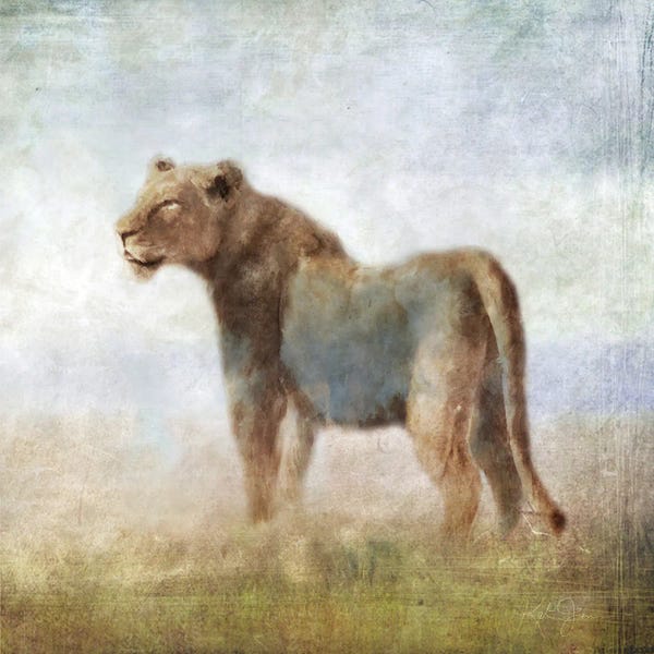 Serengeti: Serengeti Sereies Lioness by Katrina Jones