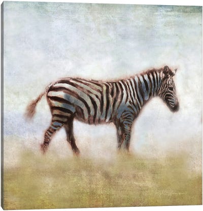 Serengeti Series Zebra Canvas Art Print - Katrina Jones