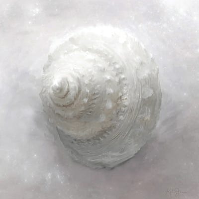 Shell Flourish Series I by Katrina Jones canvas print