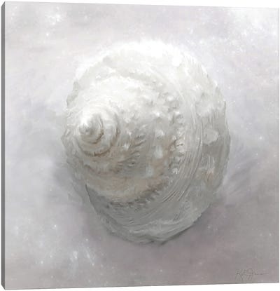 Shell Flourish Series I Canvas Art Print - Katrina Jones