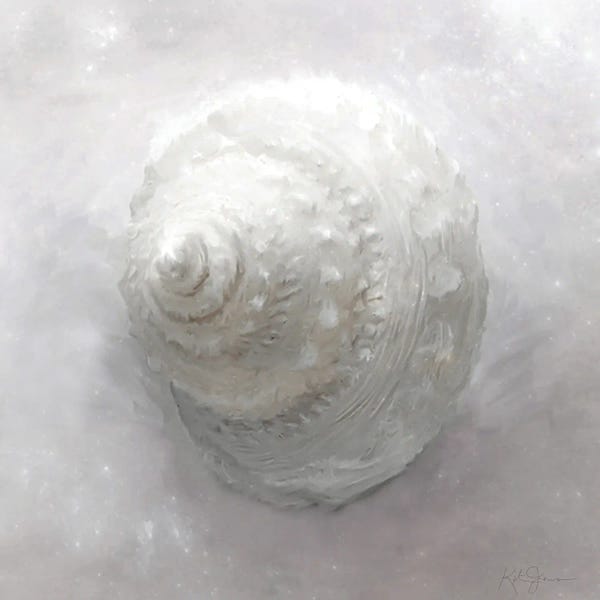 Sea Shells: Shell Flourish Series I by Katrina Jones