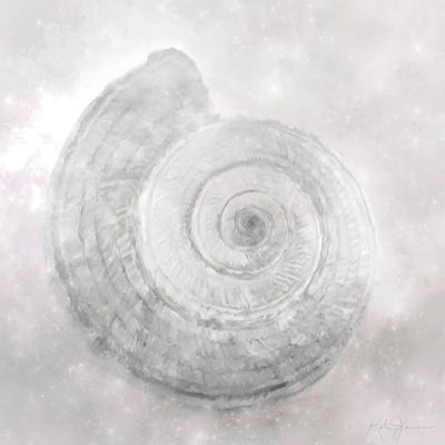 Shell Flourish II by Katrina Jones canvas print