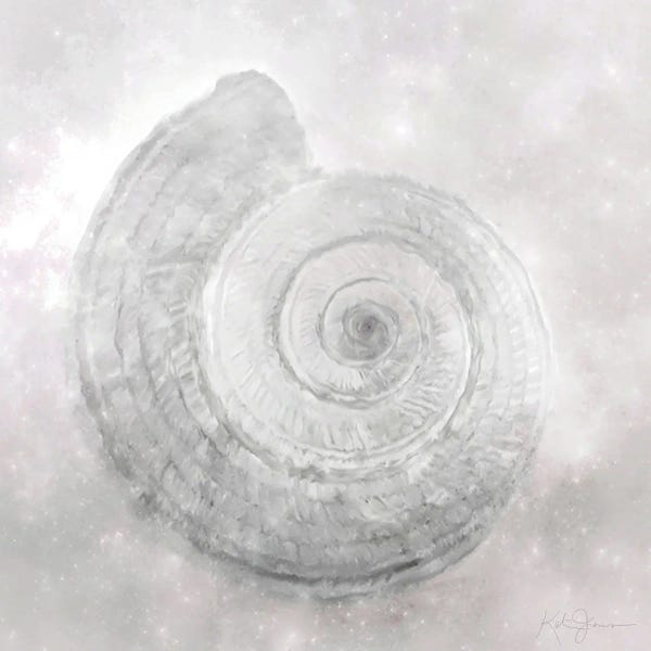 Sea Shells: Shell Flourish II by Katrina Jones