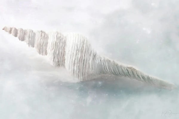 Sea Shells: Shell Flourish Series III by Katrina Jones