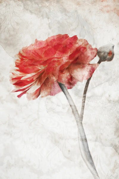 Granny Chic: Striking Scarlet Blossom by Katrina Jones
