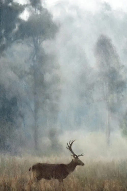 The Stag by Katrina Jones wall art