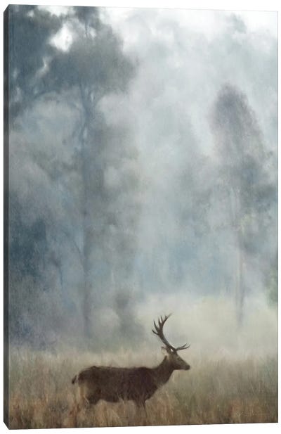 The Stag Canvas Art Print - Outdoorsman