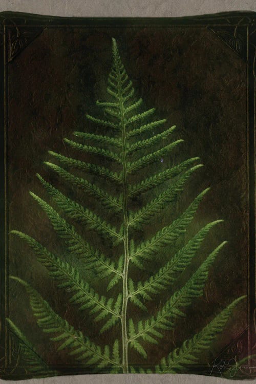 Vintage Ferm Leaf by Katrina Jones wall art