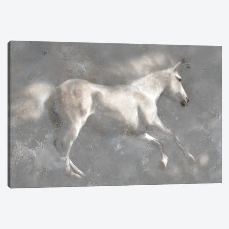White Horses Canvas Print #KAJ136} by Katrina Jones Canvas Art Print