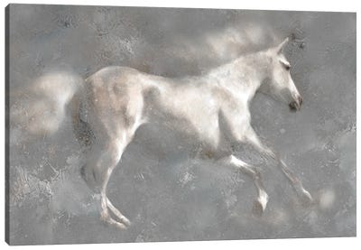 White Horses Canvas Art Print - Katrina Jones