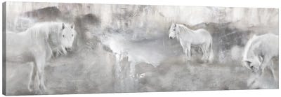 White Mares Landscape Canvas Art Print