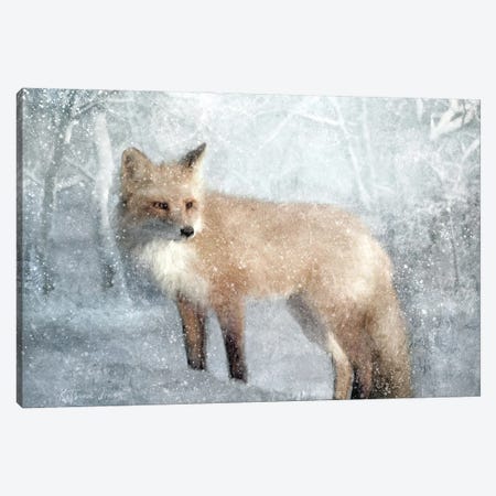Winter Fox In Falling Snow Canvas Print #KAJ139} by Katrina Jones Canvas Wall Art