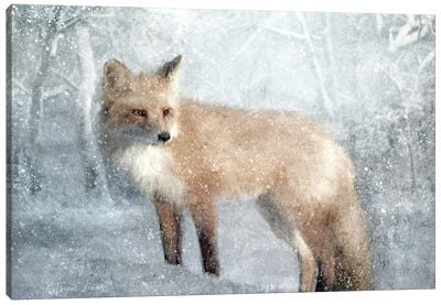 Winter Fox In Falling Snow Canvas Art Print - Katrina Jones