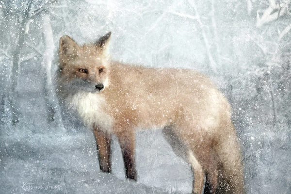 Snow: Winter Fox In Falling Snow by Katrina Jones