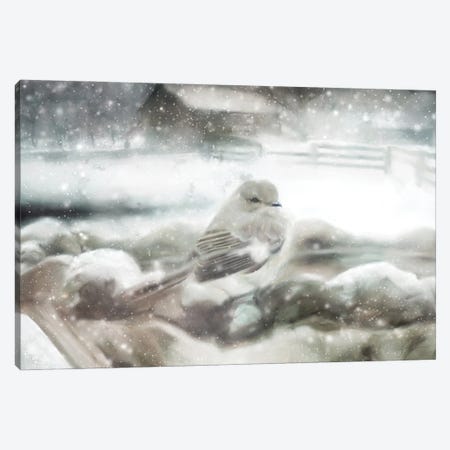 Snow Bird Canvas Print #KAJ80} by Katrina Jones Canvas Print