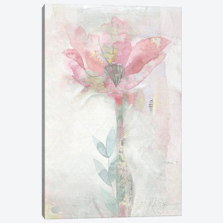 Blush Ranunculus Solitary Canvas Print #KAJ83} by Katrina Jones Canvas Print