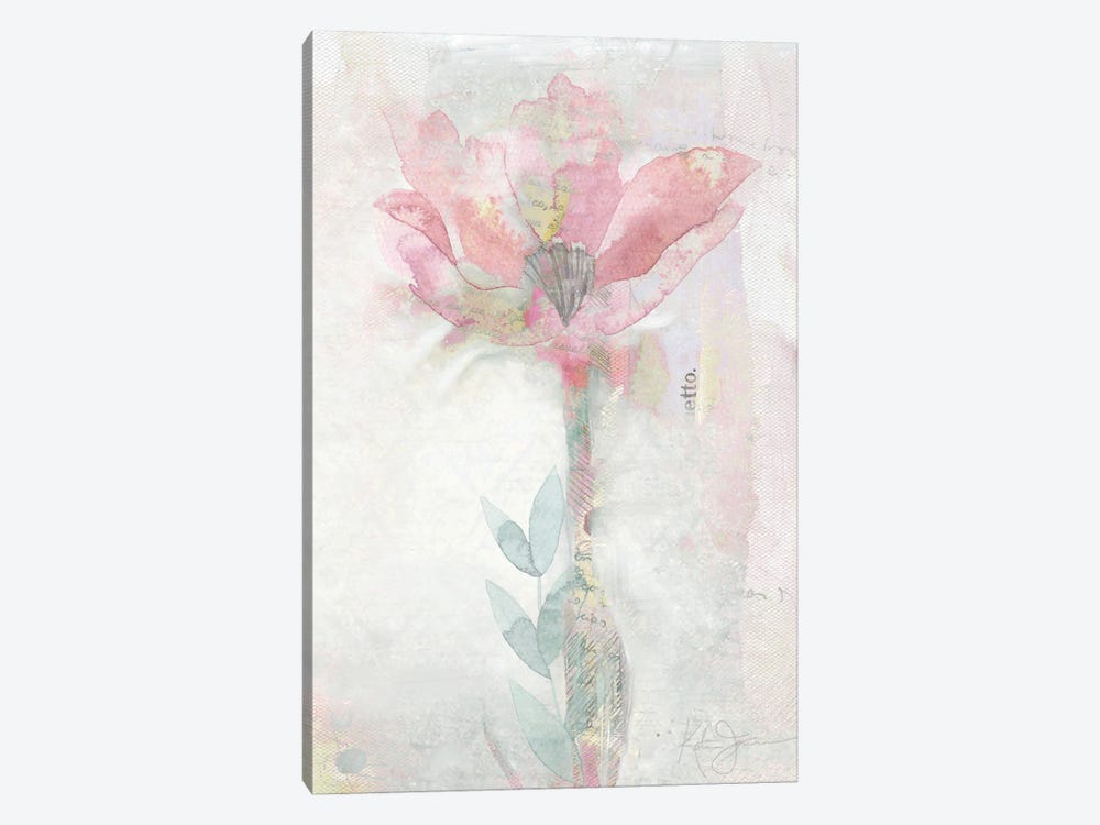 Blush Ranunculus Solitary by Katrina Jones 1-piece Canvas Art Print