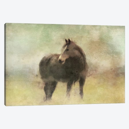 Bay Horse In A Field Canvas Print #KAJ87} by Katrina Jones Canvas Artwork