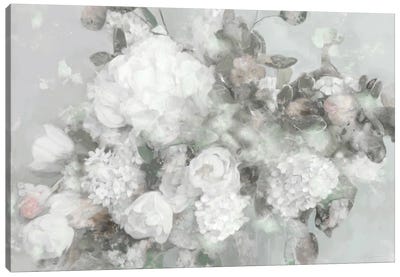 Blushign Blooms Canvas Art Print - Hydrangea Art