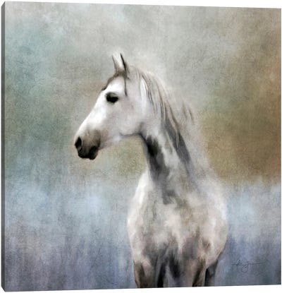Dapple Grey Canvas Art Print - Katrina Jones
