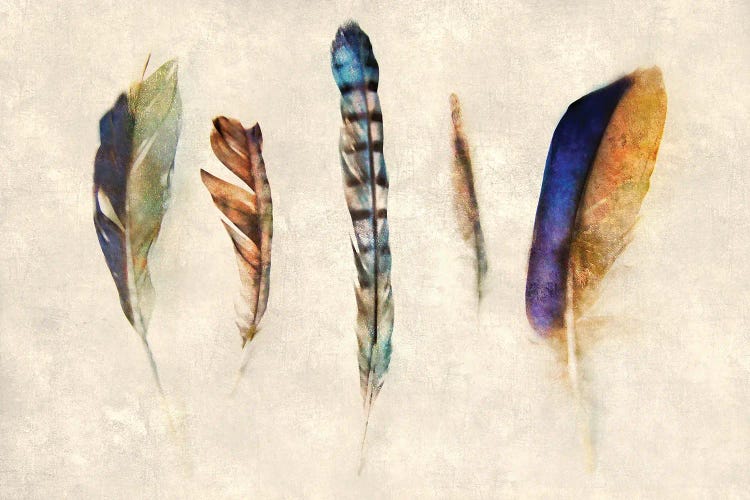 Feathers by Katrina Jones wall art