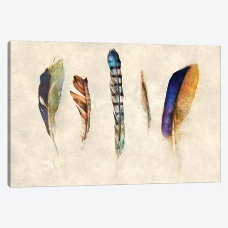 Feathers Canvas Print #KAJ97} by Katrina Jones Canvas Print