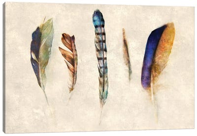 Feathers Canvas Art Print - Katrina Jones