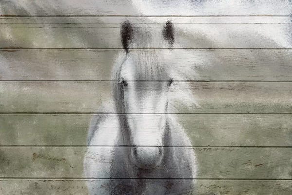 A.D. Lines Eurogroup Inc.: Wild by Kimberly Allen