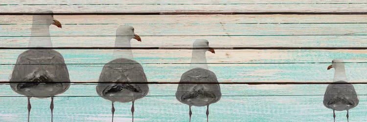 Seagulls by Kimberly Allen wall art