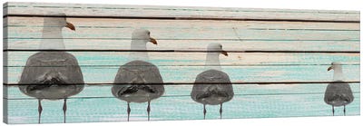 Seagulls Canvas Art Print