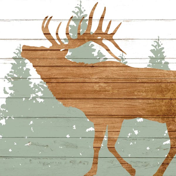 Elk: Woods III by Kimberly Allen